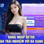 Đánh giá tổng quan về bet88 trong năm 2025