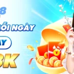 Bet88 và những trải nghiệm không thể quên